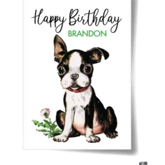 Vintage style Boston Terrier Puppy Birthday Postcard-2